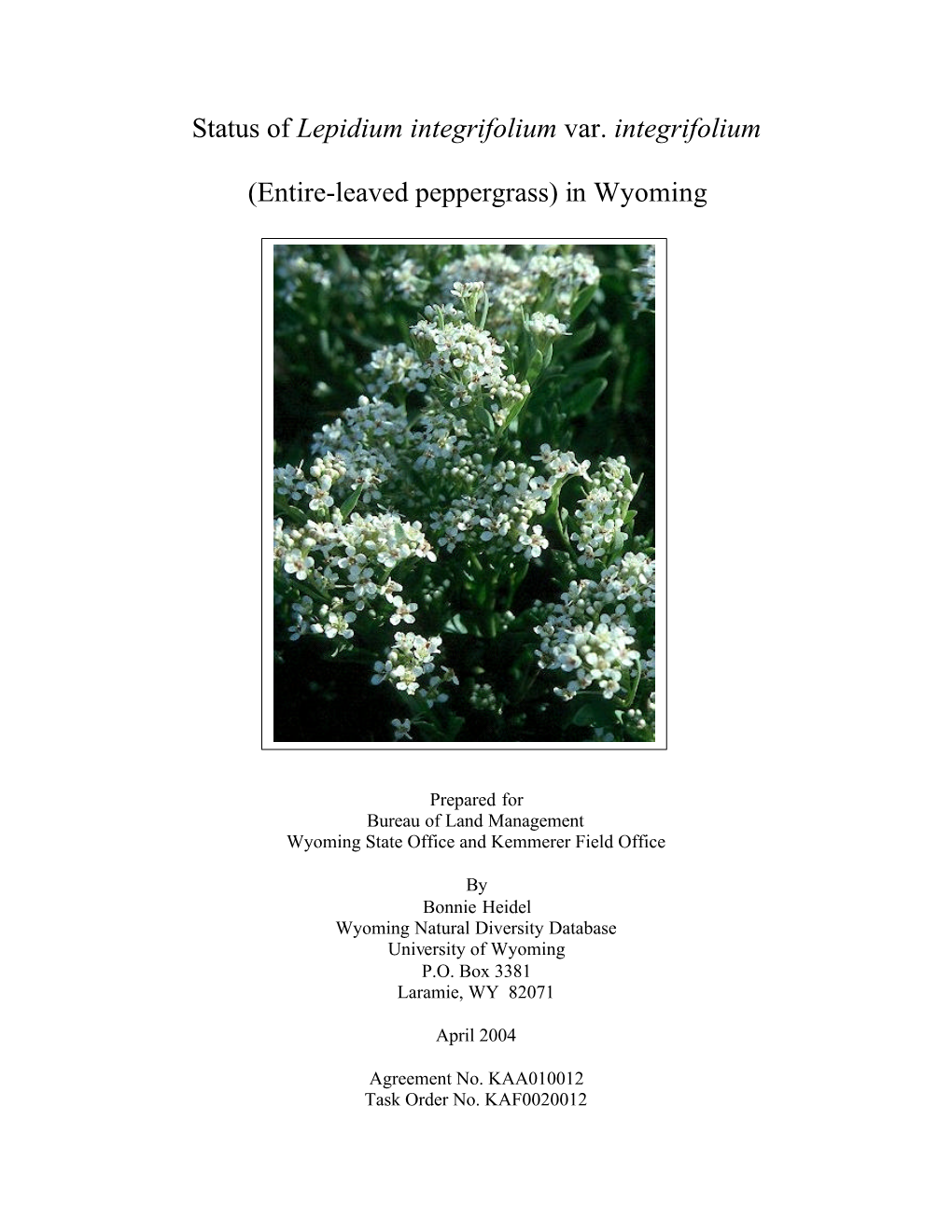Status of Lepidium Integrifolium Var. Integrifolium (Entire-Leaved Peppergrass) in Wyoming