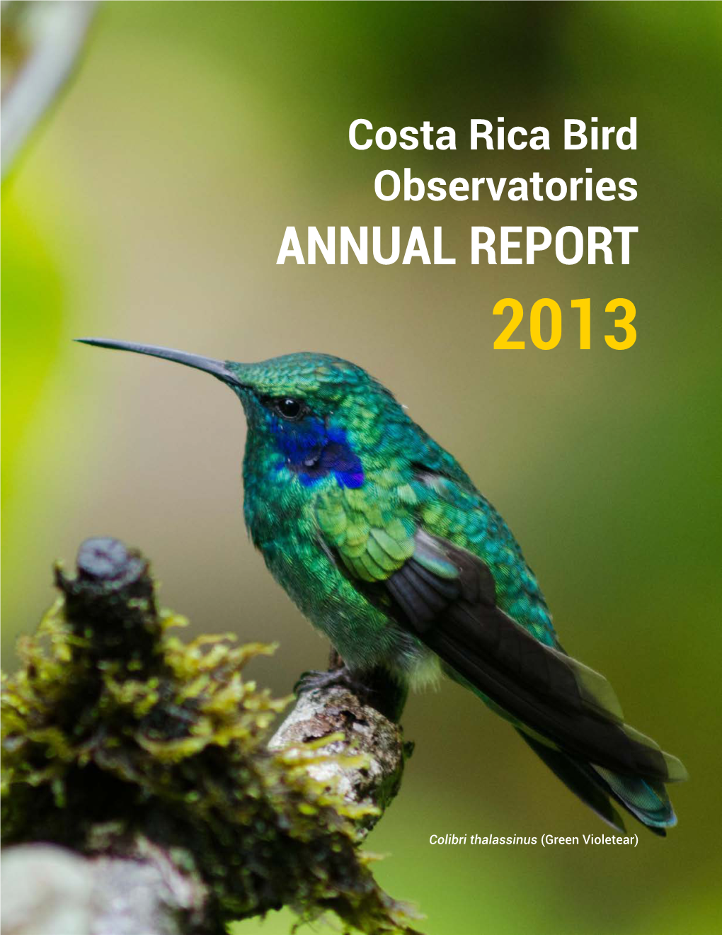 Annual Report 2013