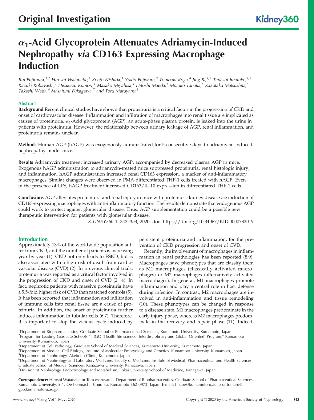Α1-Acid Glycoprotein Attenuates Adriamycin-Induced Nephropathy Via CD163 Expressing Macrophage Induction