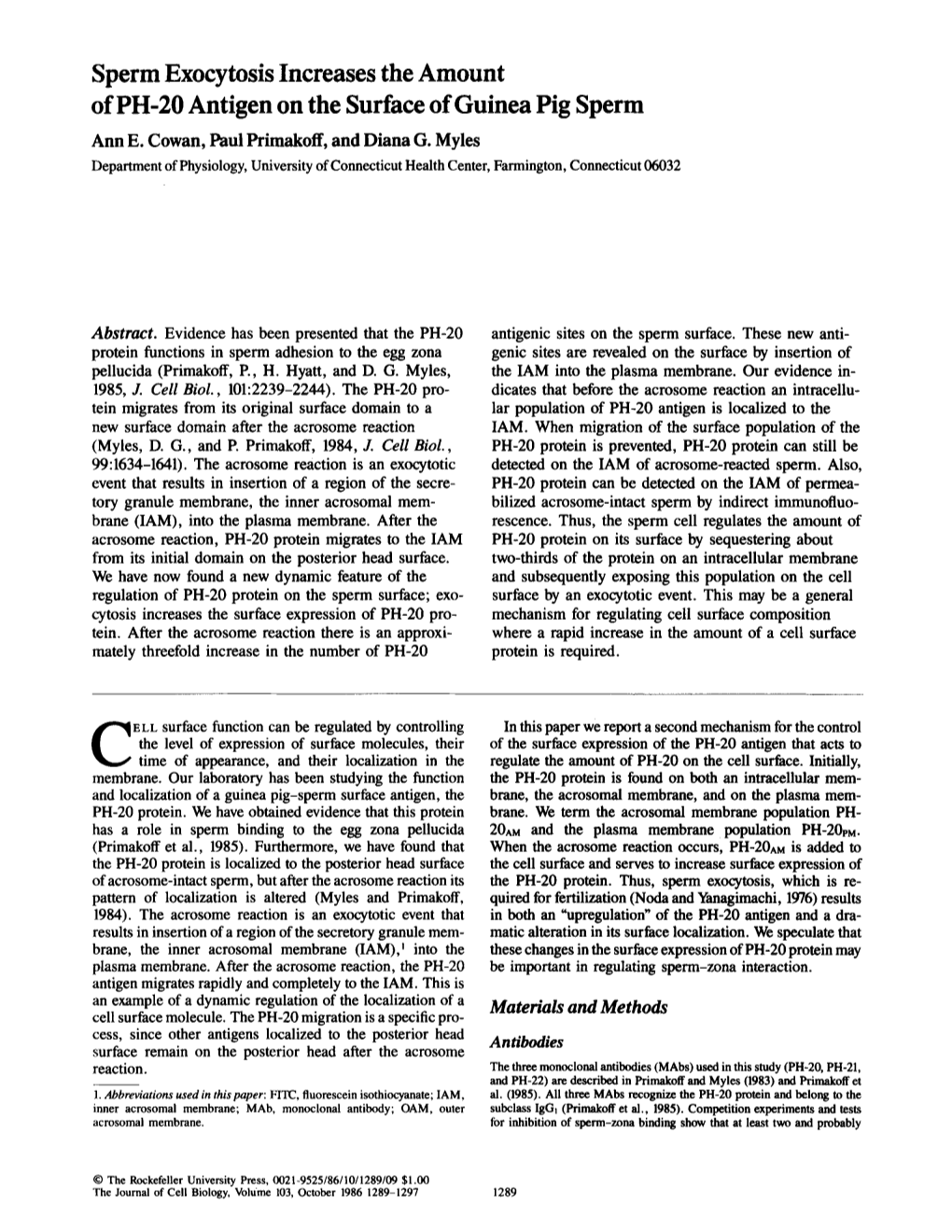 Sperm Exocytosis Increases the Amount of PH-20 Antigen on the Surface of Guinea Pig Sperm Ann E