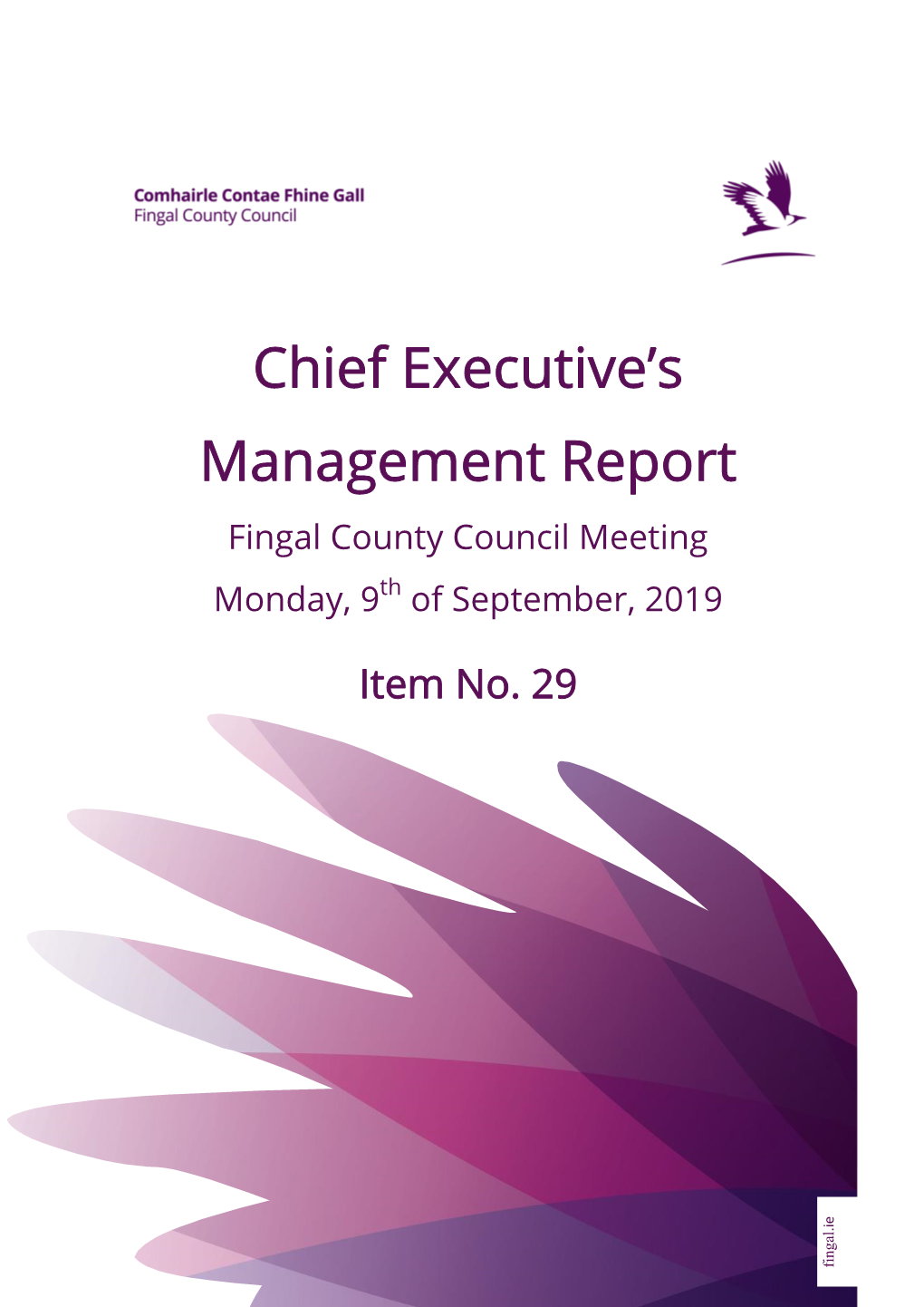 Chief Executive's Management Report