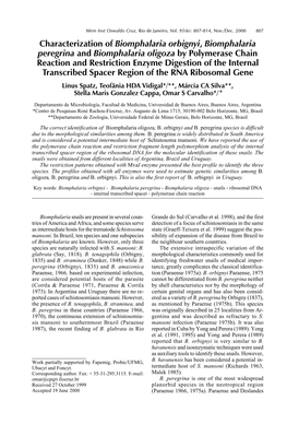 Characterization of Biomphalaria Orbignyi, Biomphalaria Peregrina