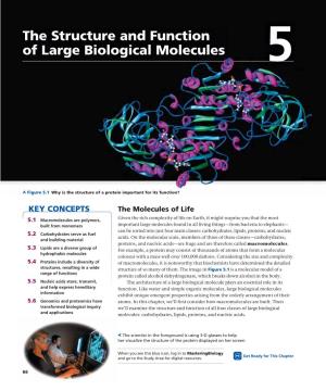 The Structure and Function of Large Biological Molecules 5