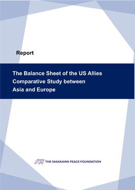 Report the Balance Sheet of the US Allies Comparative Study Between