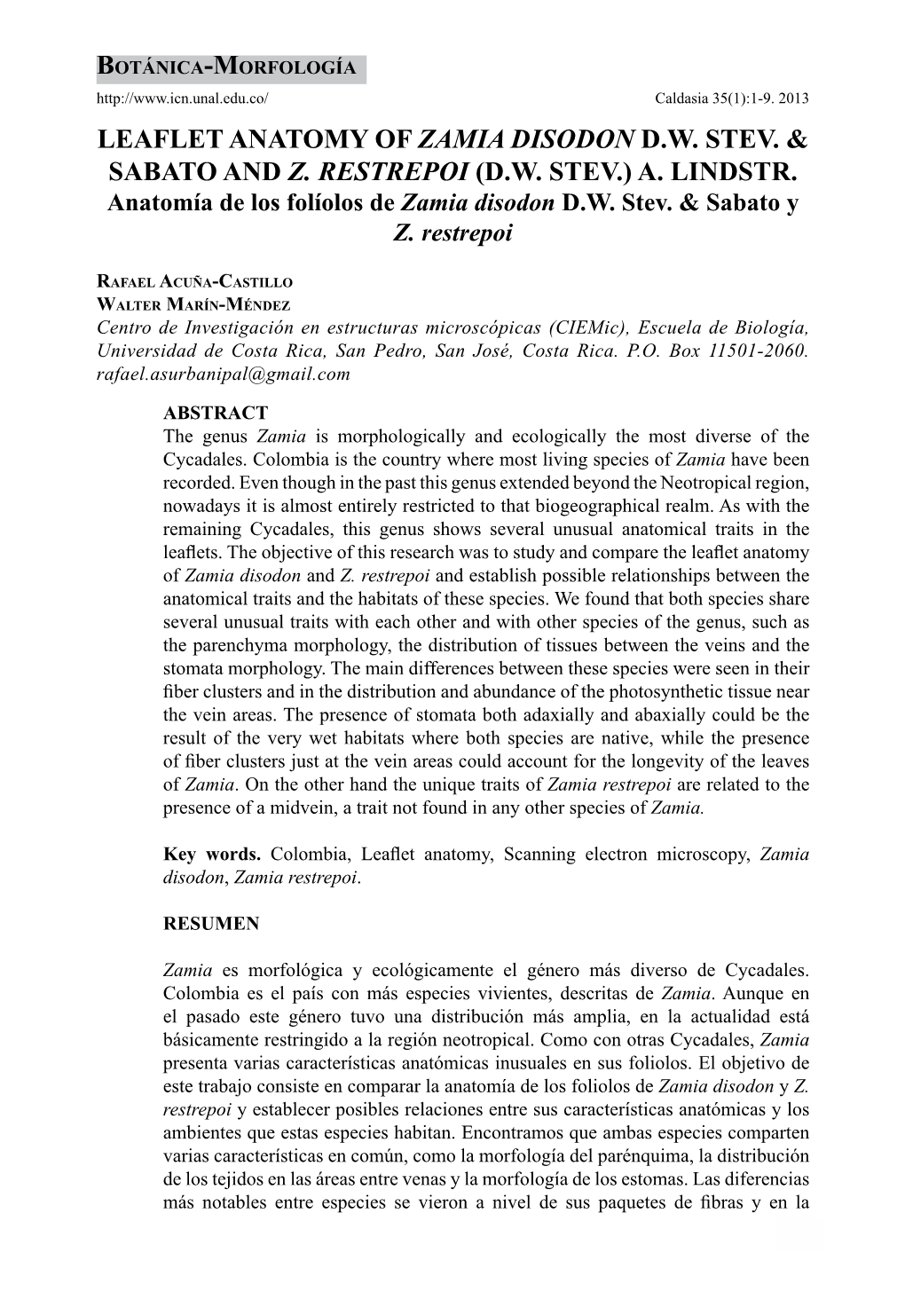 Leaflet Anatomy of Zamia Disodon Dw