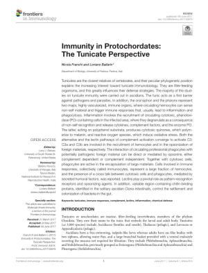 Immunity in Protochordates: the Tunicate Perspective