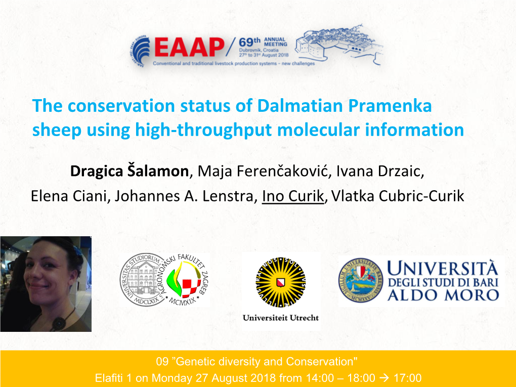 The Conservation Status of Dalmatian Pramenka Sheep Using High-Throughput Molecular Information