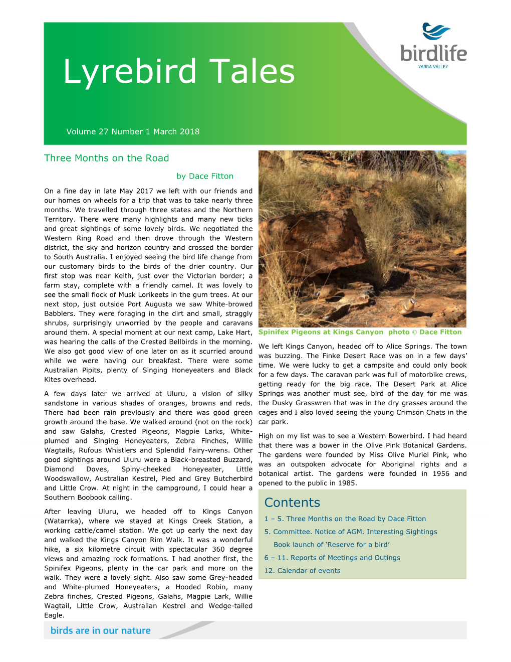 Lyrebird Tales
