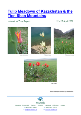 Tulip Meadows of Kazakhstan & the Tien Shan Mountains