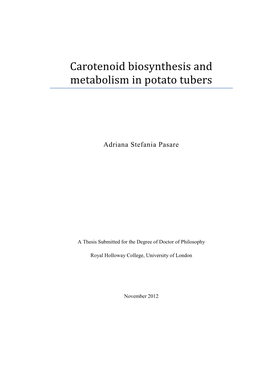 Carotenoid Biosynthesis and Metabolism in Potato Tubers