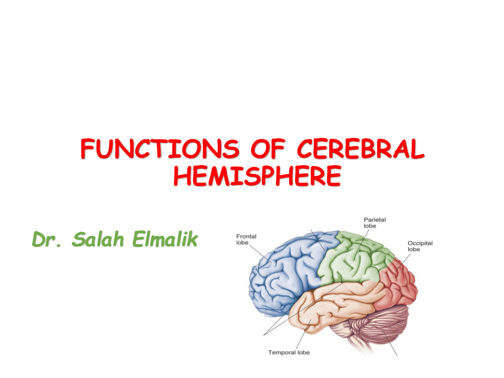 Functions of Cerebral Hemisphere