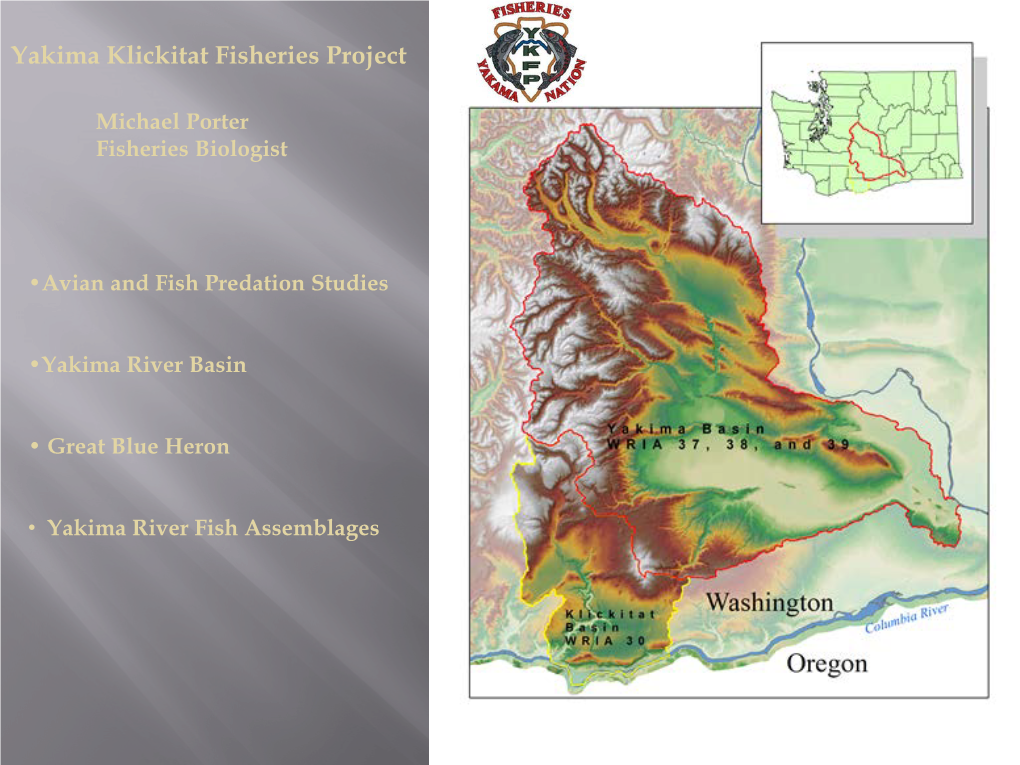 Yakima Basin Bird and Fish Predation