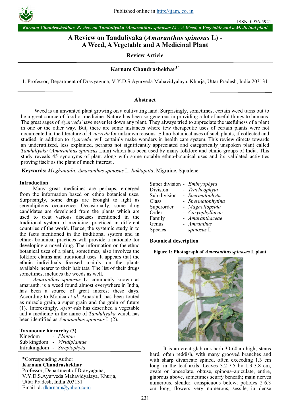 Amaranthus Spinosus L) - a Weed, a Vegetable and a Medicinal Plant a Review on Tanduliyaka (Amaranthus Spinosus L) - a Weed, a Vegetable and a Medicinal Plant