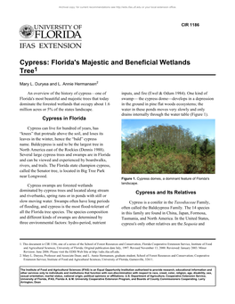 Cypress: Florida's Majestic and Beneficial Wetlands Tree1