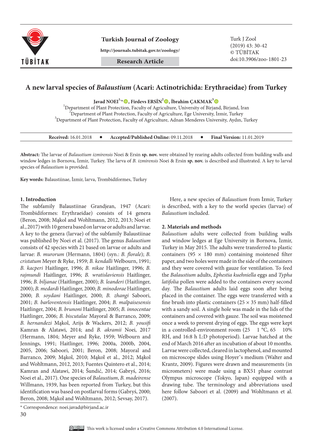 A New Larval Species of Balaustium (Acari: Actinotrichida: Erythraeidae) from Turkey