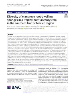 Diversity of Mangrove Root-Dwelling Sponges in a Tropical Coastal Ecosystem in the Southern Gulf of Mexico Region