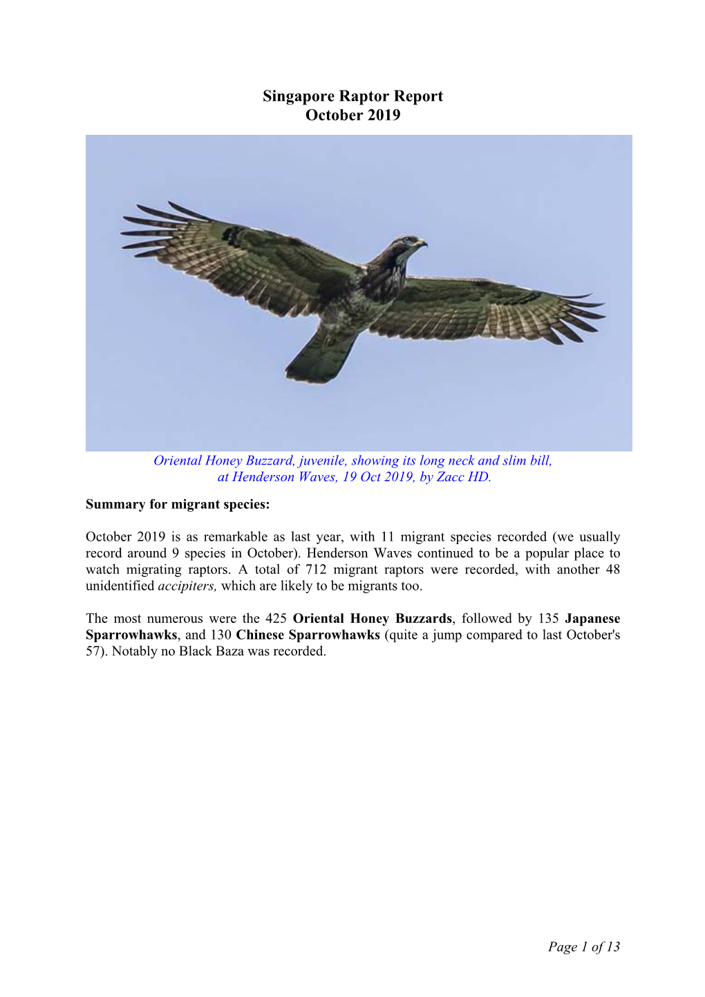 Singapore Raptor Report October 2019