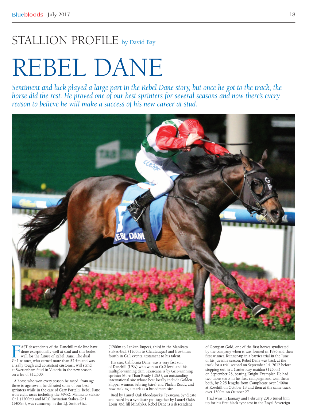 REBEL DANE Sentiment and Luck Played a Large Part in the Rebel Dane Story, but Once He Got to the Track, the Horse Did the Rest