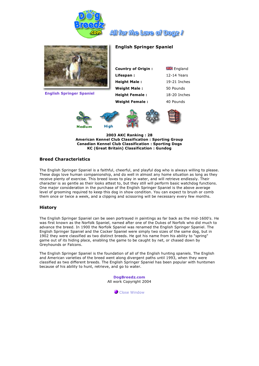 English Springer Spaniel Breed Characteristics History