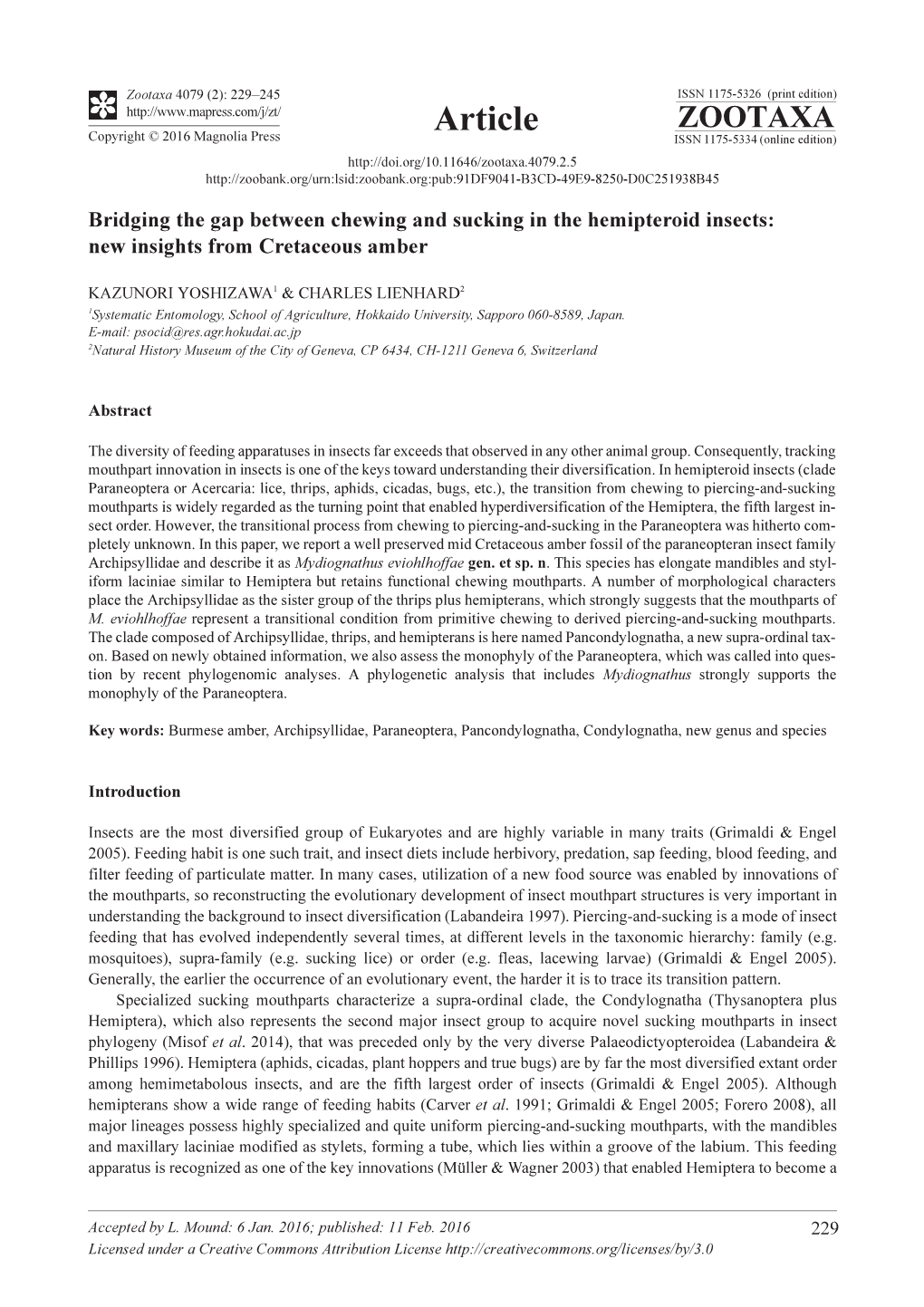 Bridging the Gap Between Chewing and Sucking in the Hemipteroid Insects: New Insights from Cretaceous Amber