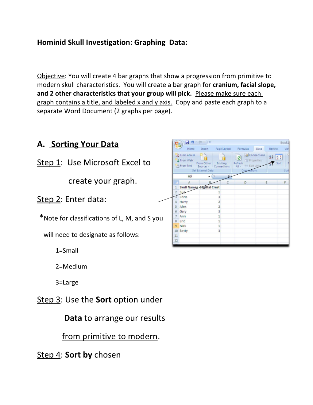 Hominid Skull Investigation: Graphing Data