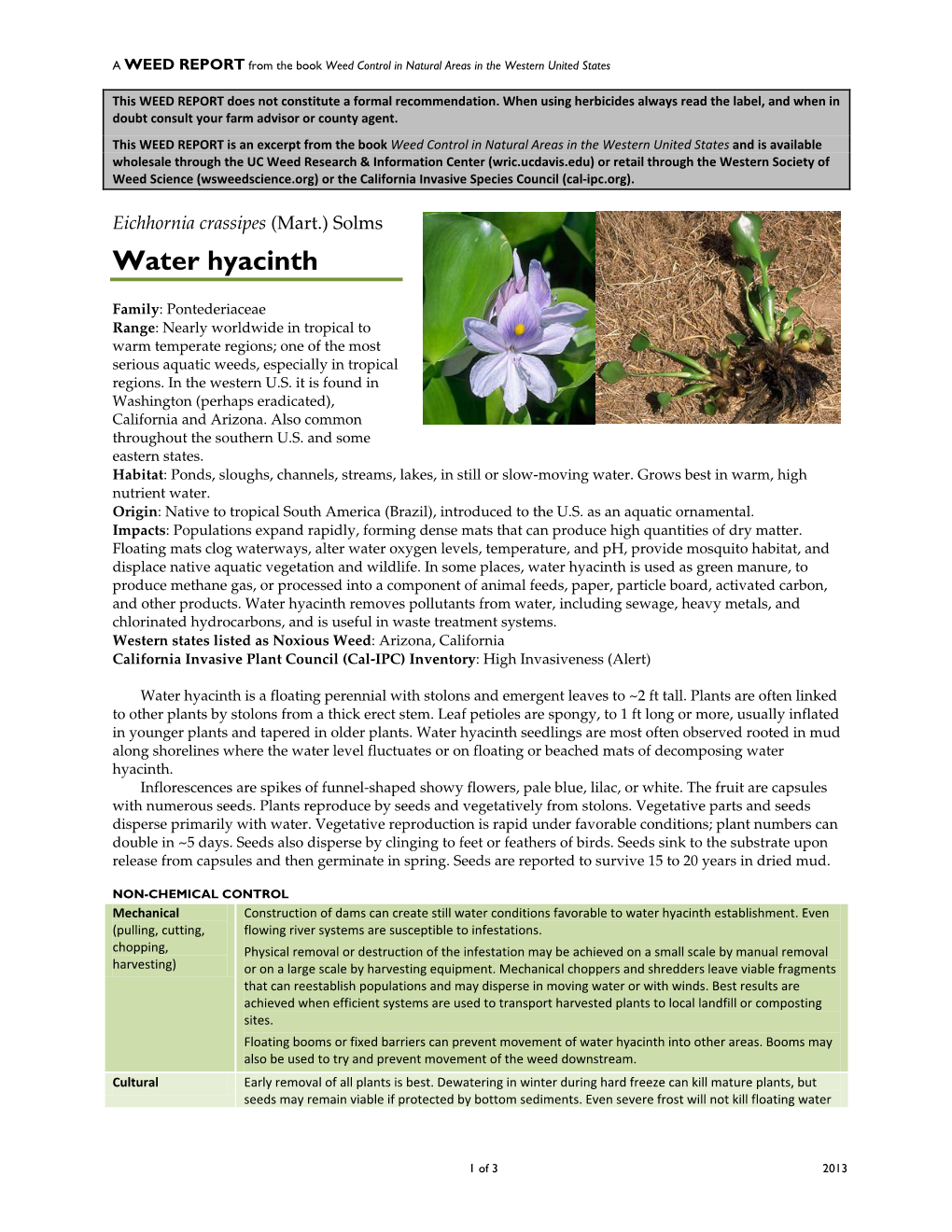 Eichhornia Crassipes (Mart.) Solms Water Hyacinth