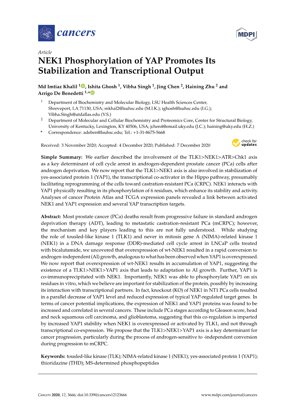 NEK1 Phosphorylation of YAP Promotes Its Stabilization and Transcriptional Output