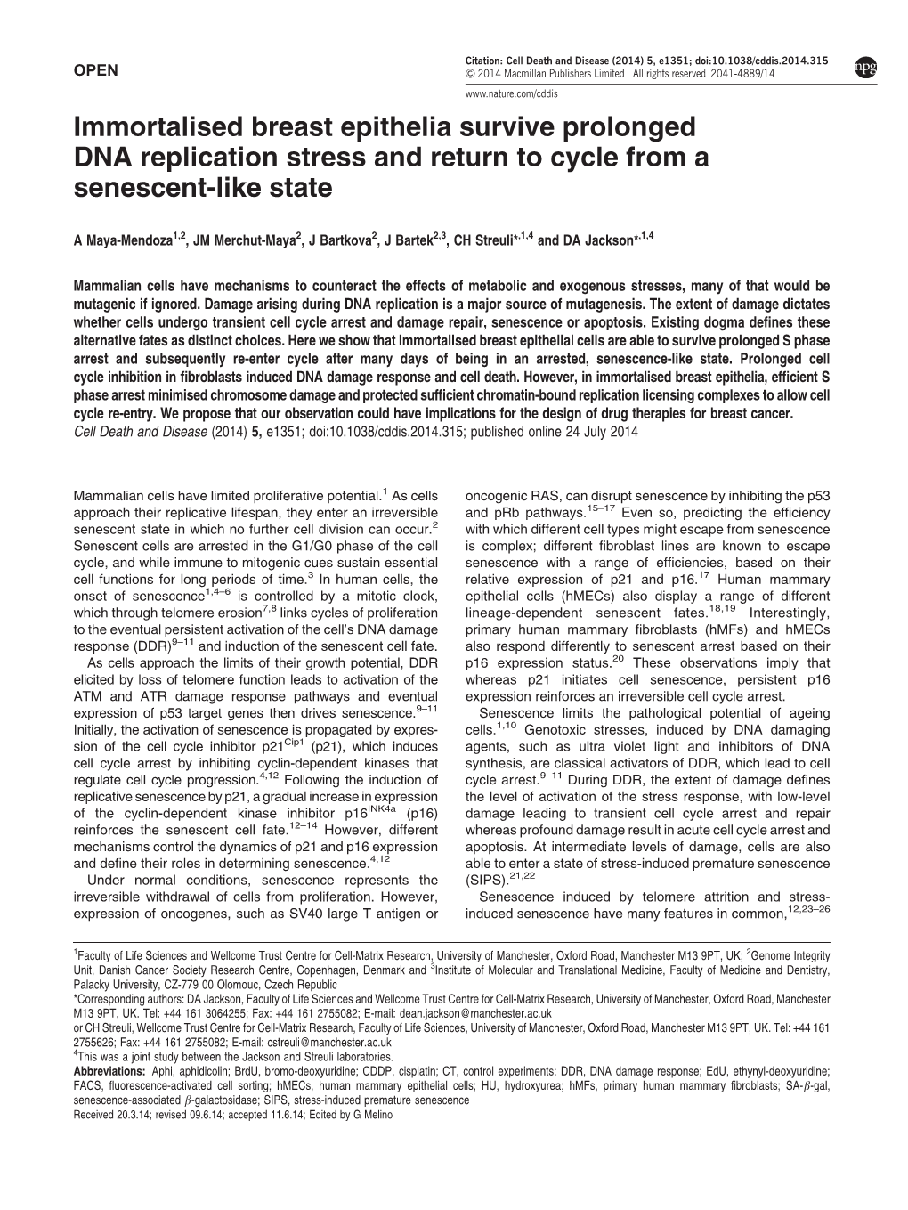 Immortalised Breast Epithelia Survive Prolonged DNA Replication Stress and Return to Cycle from a Senescent-Like State