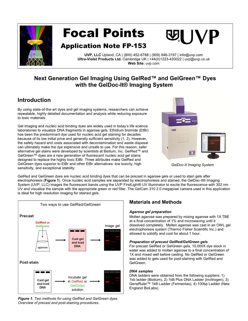 Geldoc-It Imaging System Using Gelred and Gelgreen