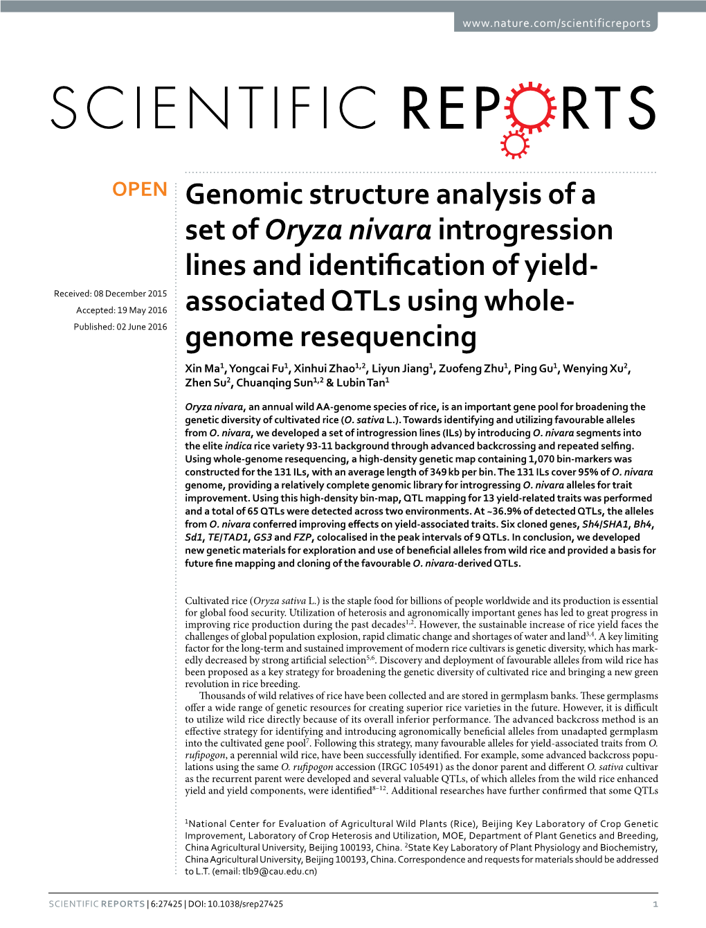 Genomic Structure Analysis of a Set of Oryza Nivara Introgression