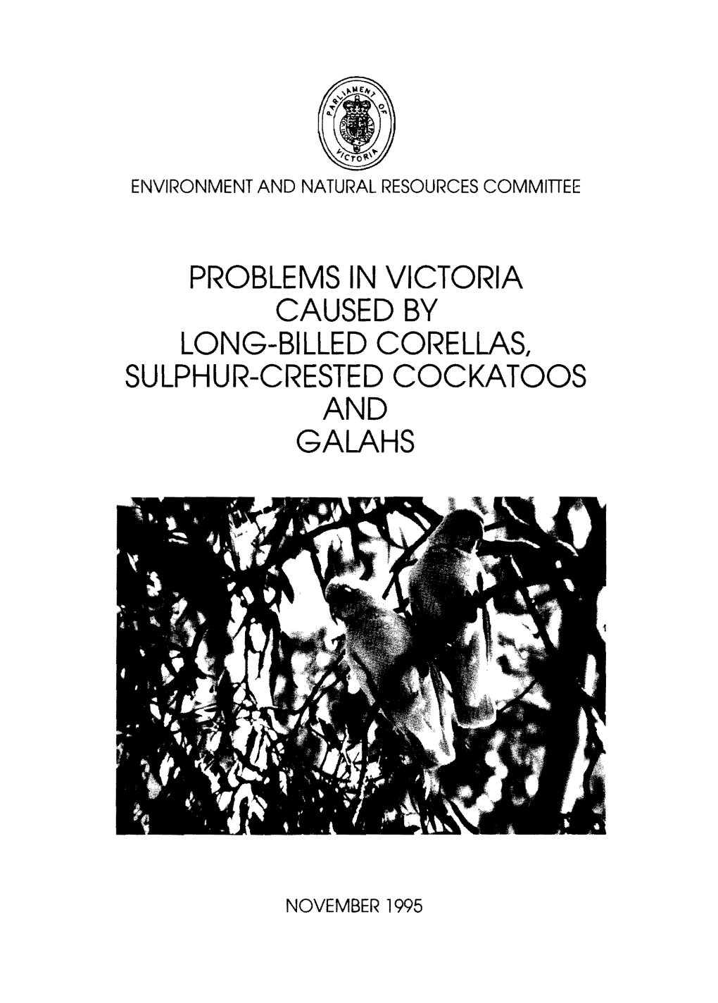 Problems in Victoria Caused by Long-Billed Corellas/ Sulphur-Crested Cockatoos and Galahs