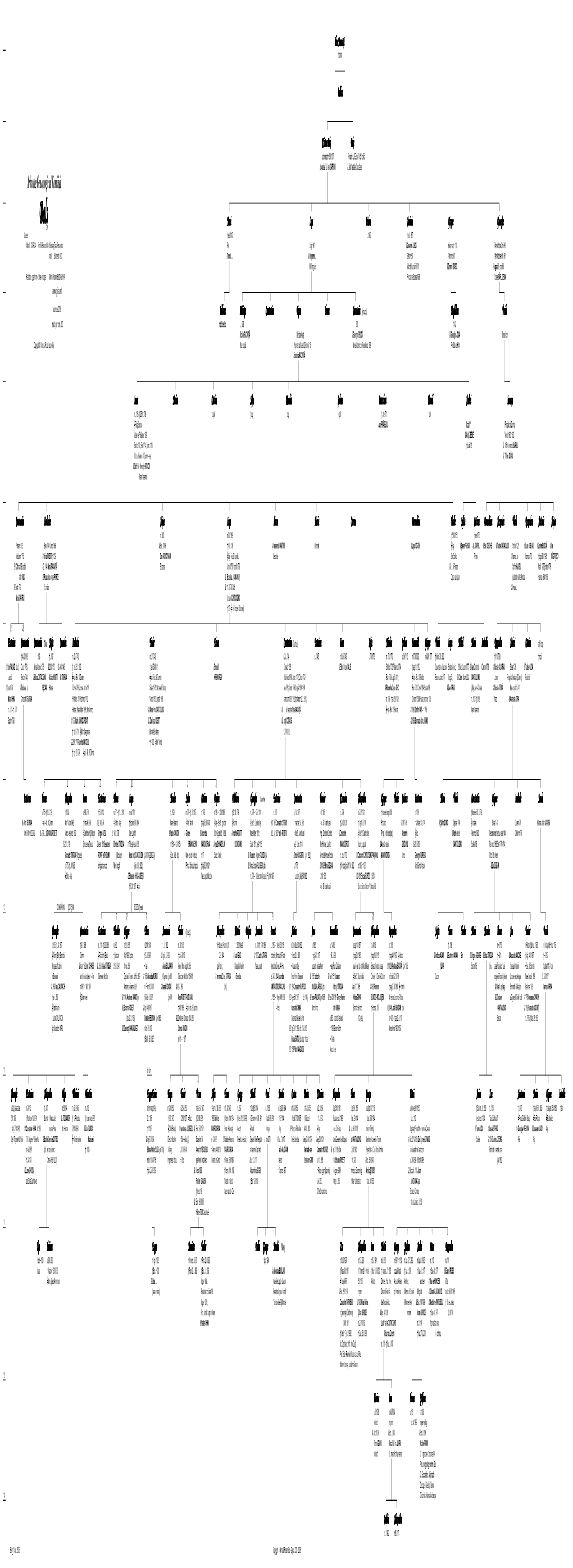 Arborele Genealogic Al Familiei 4 Balş Matei Lupu Fedora Antimia Grigore Gheorghe Sources: † Ante 1617 ..1602 † Ante 1617 Mihai D