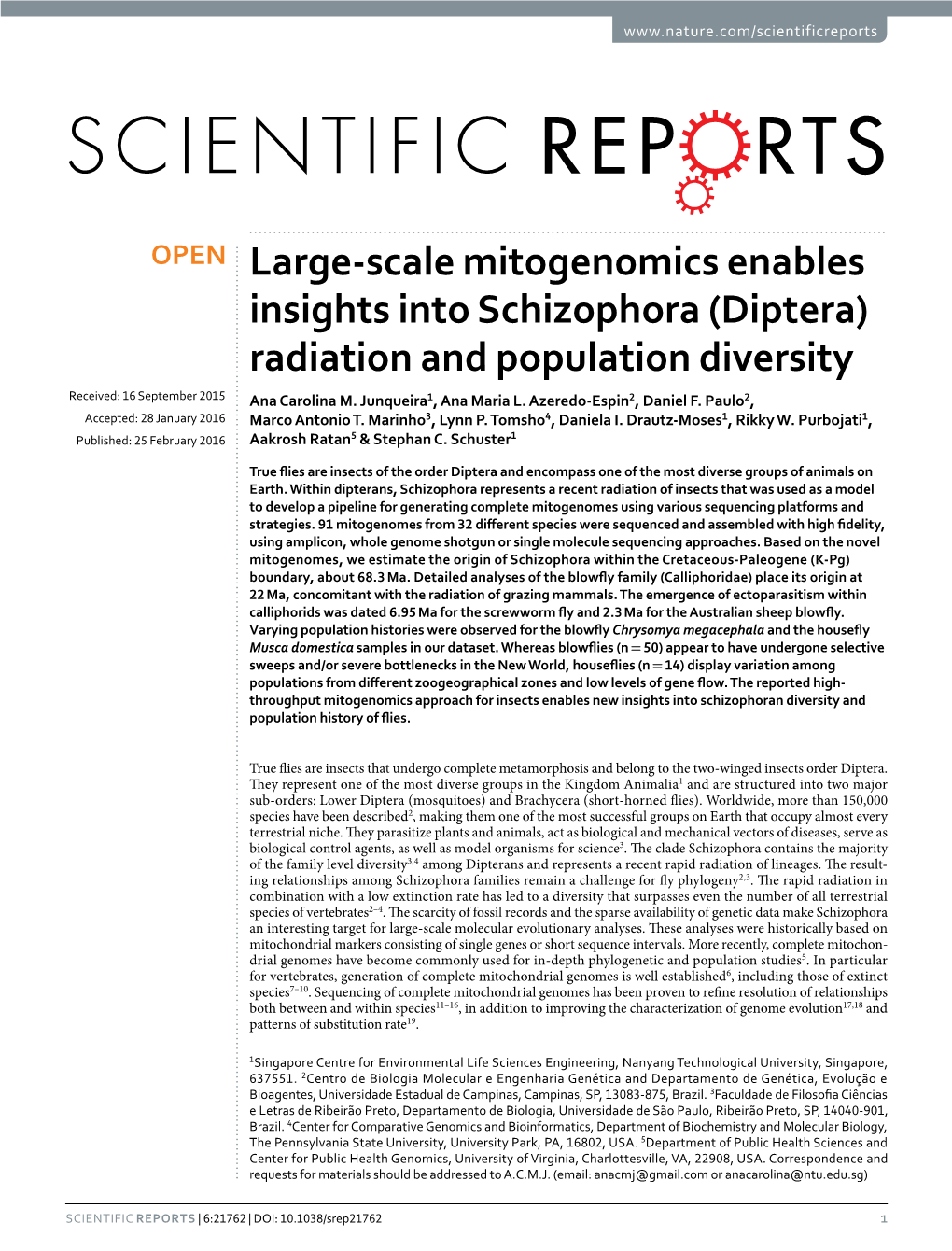 Large-Scale Mitogenomics Enables Insights Into Schizophora (Diptera) Radiation and Population Diversity Received: 16 September 2015 Ana Carolina M