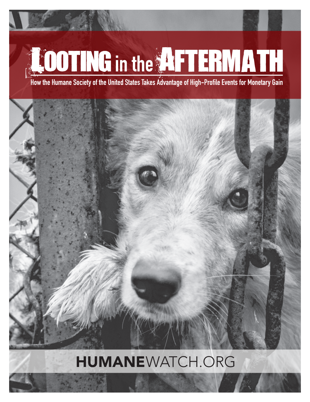 Looting in the Aftermath How the Humane Society of the United States Takes Advantage of High-Profile Events for Monetary Gain
