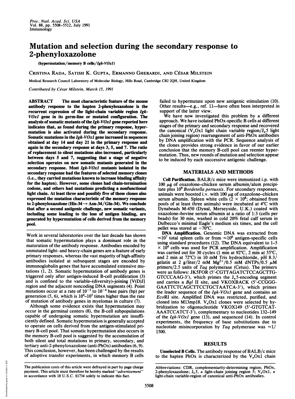 Mutation and Selection During the Secondary Response to 2-Phenyloxazolone (Hypermutation/Memory B Cells/Igk-Voxl) CRISTINA RADA, SATISH K