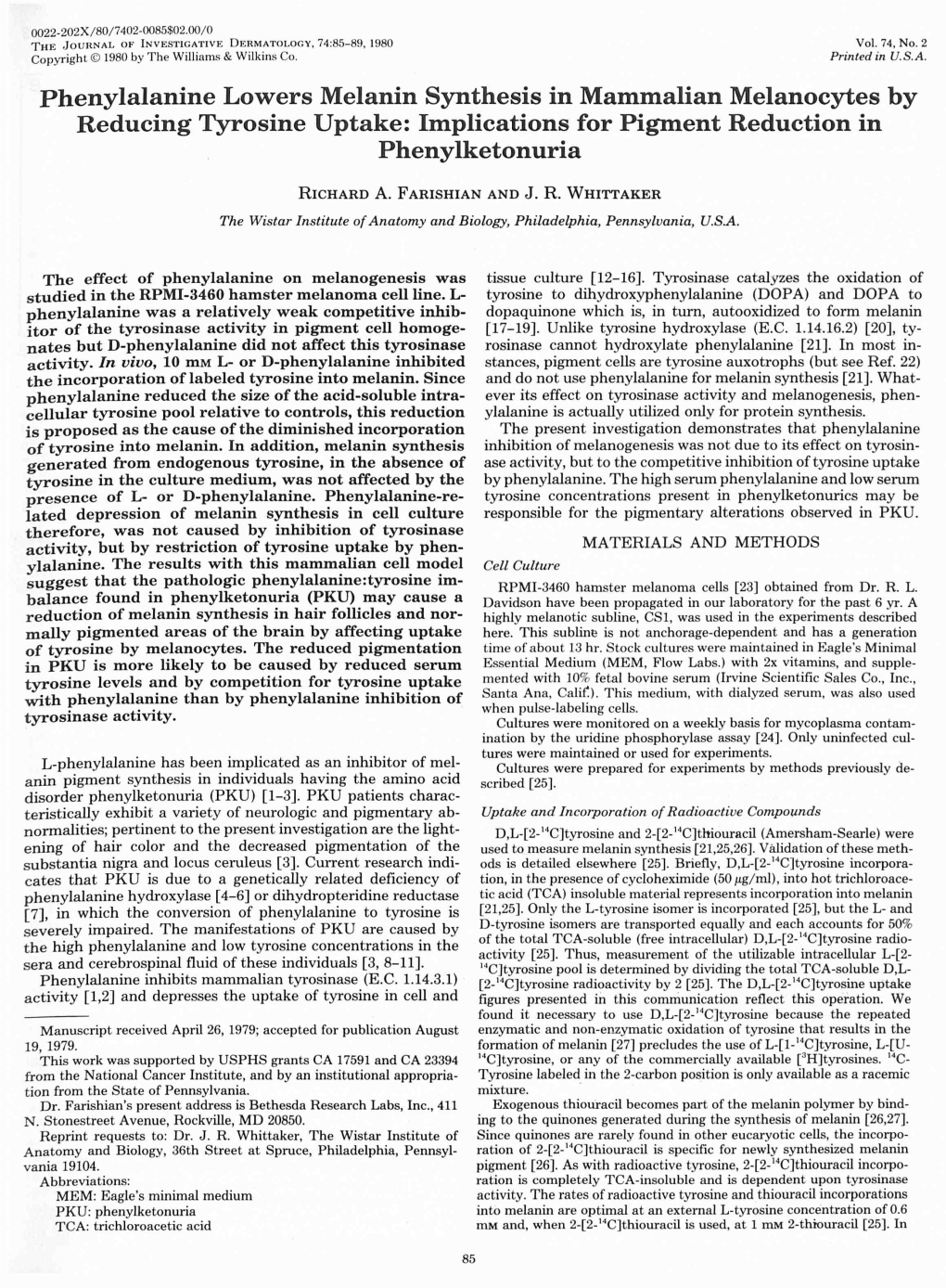 Phenylalanine Lowers Melanin Synthesis in Mammalian Melanocytes by Reducing Tyrosine Uptake: Implications for Pigment Reduction in Phenylketonuria