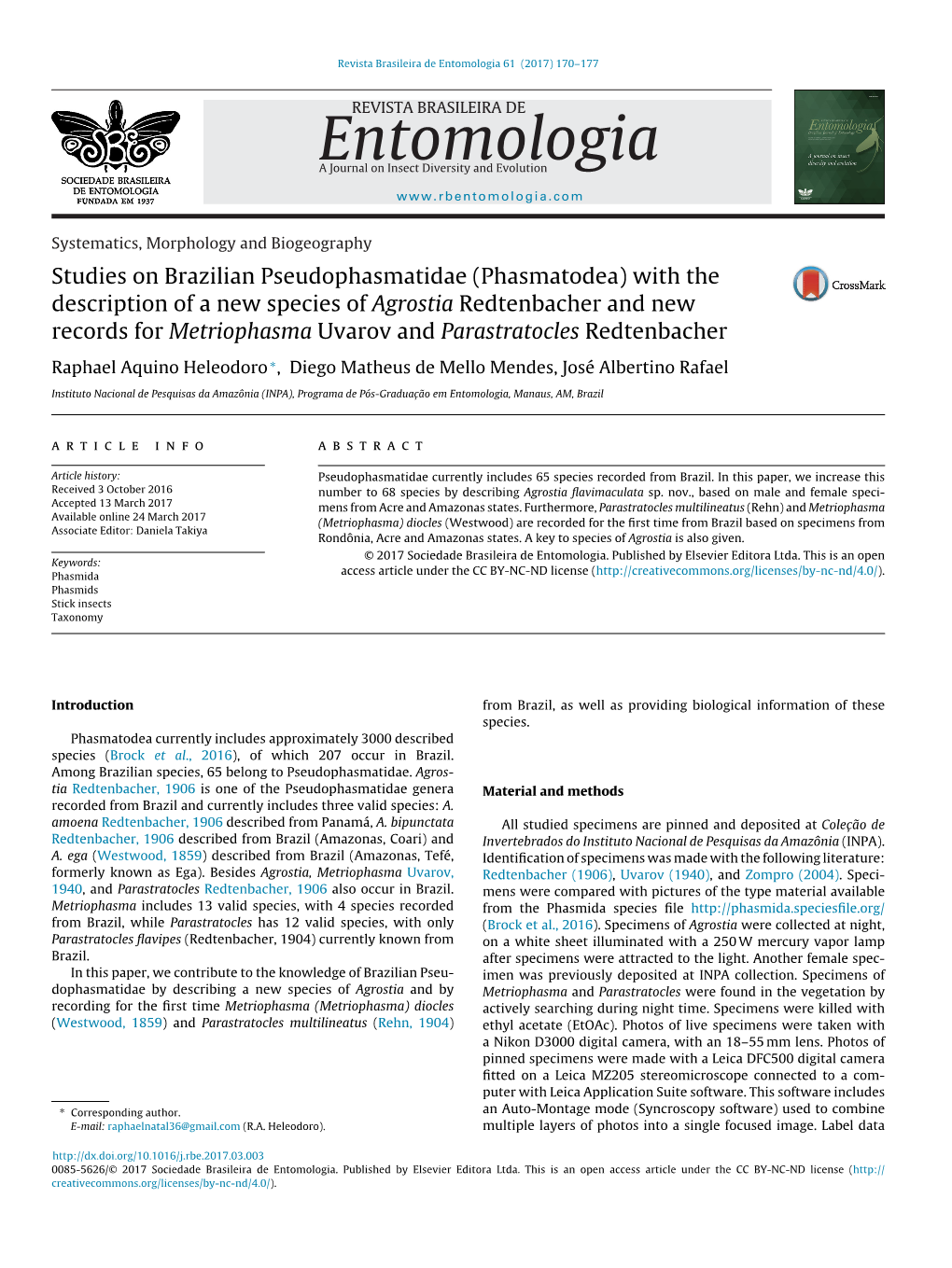 Studies on Brazilian Pseudophasmatidae (Phasmatodea) with The