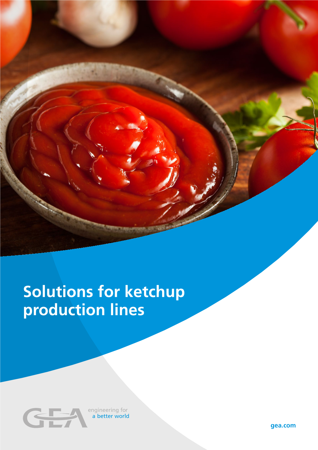 Solutions for Ketchup Production Lines 2 · SOLUTIONS for KETCHUP PRODUCTION LINES Ketchup Manufacturing