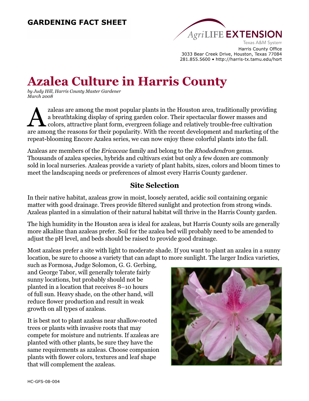 Azalea Culture in Harris County by Judy Hill, Harris County Master Gardener March 2008