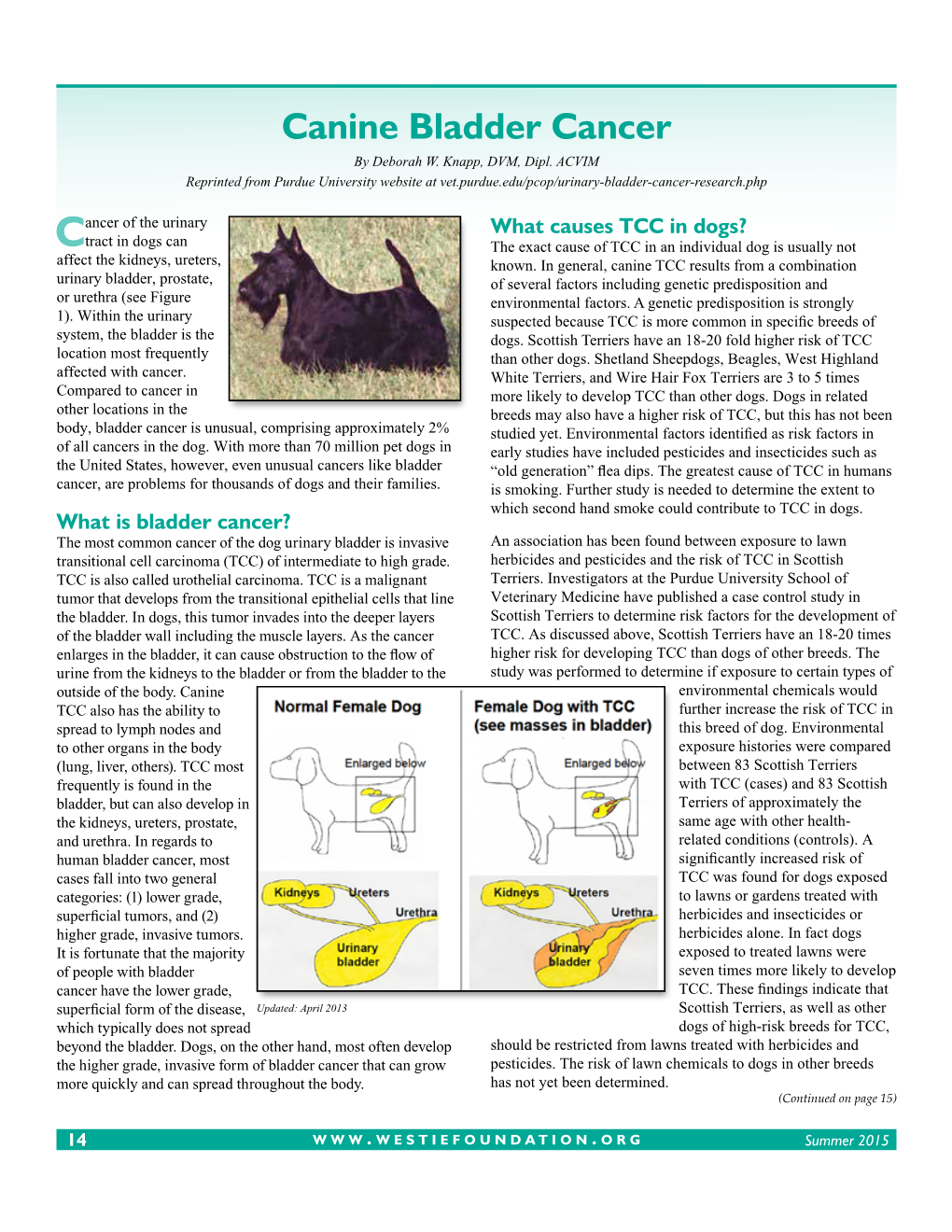 Canine Bladder Cancer by Deborah W