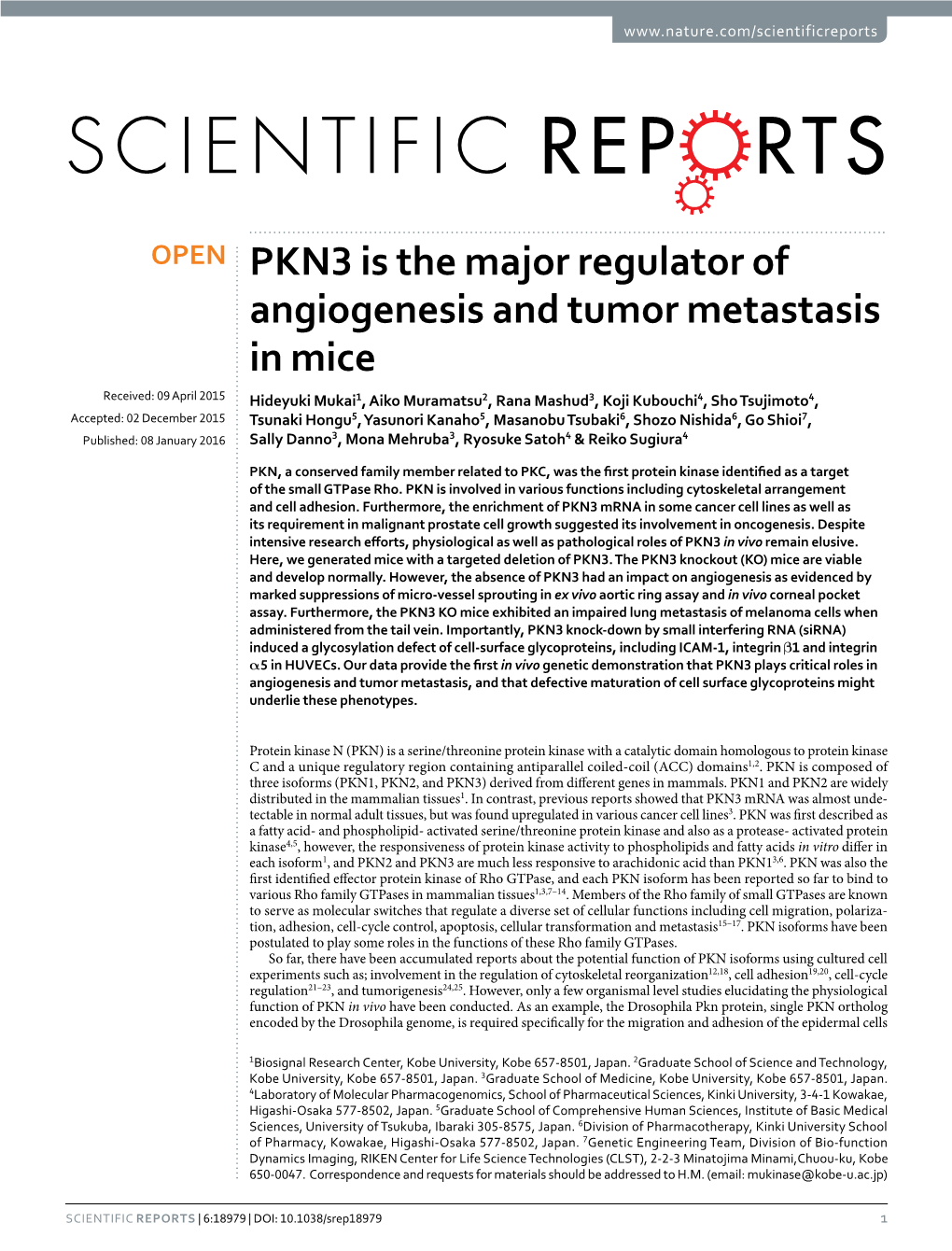 PKN3 Is the Major Regulator of Angiogenesis and Tumor Metastasis