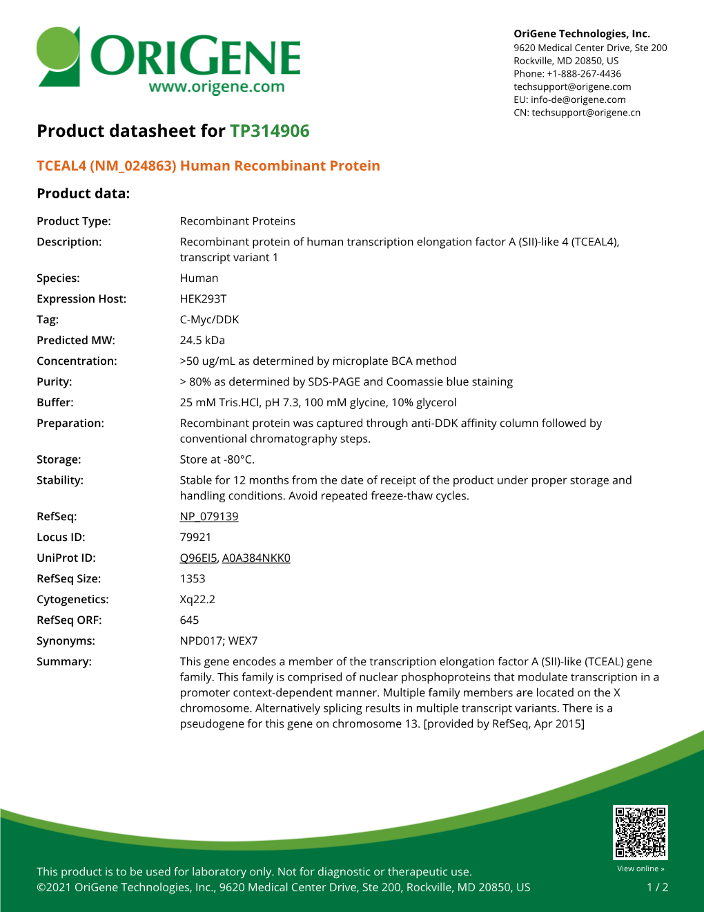 TCEAL4 (NM 024863) Human Recombinant Protein – TP314906