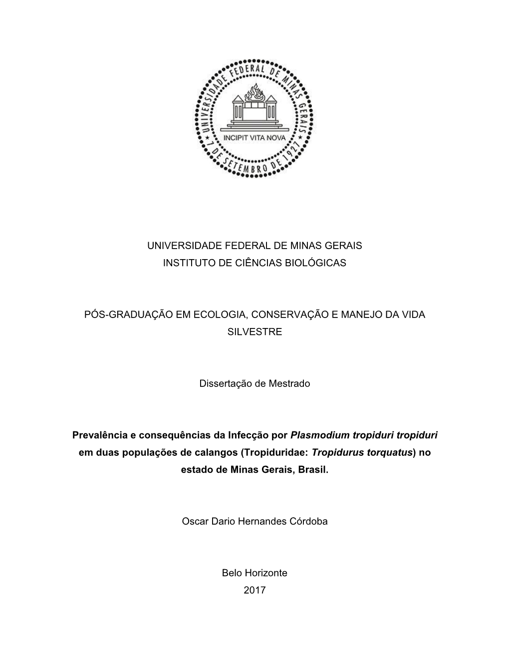 Dissertação Oscar Hernandes Cordoba 2017.Pdf