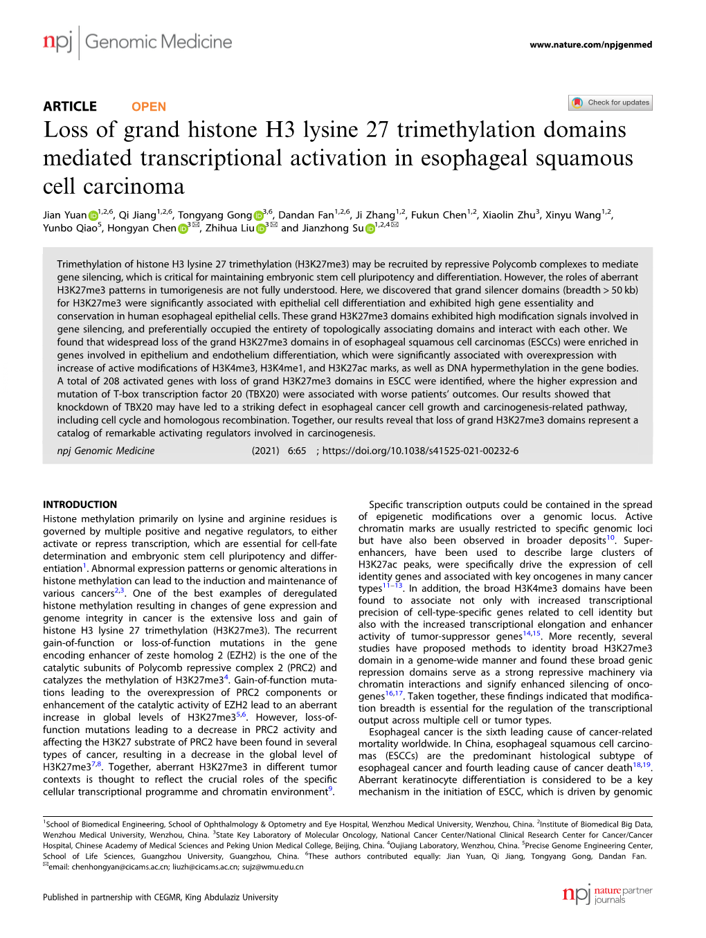 Loss of Grand Histone H3 Lysine 27 Trimethylation Domains Mediated Transcriptional Activation in Esophageal Squamous Cell Carcinoma