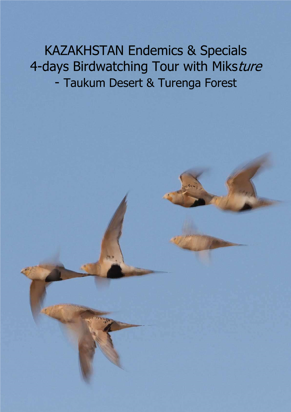 KAZAKHSTAN Endemics & Specials 4-Days Birdwatching Tour with Miksture