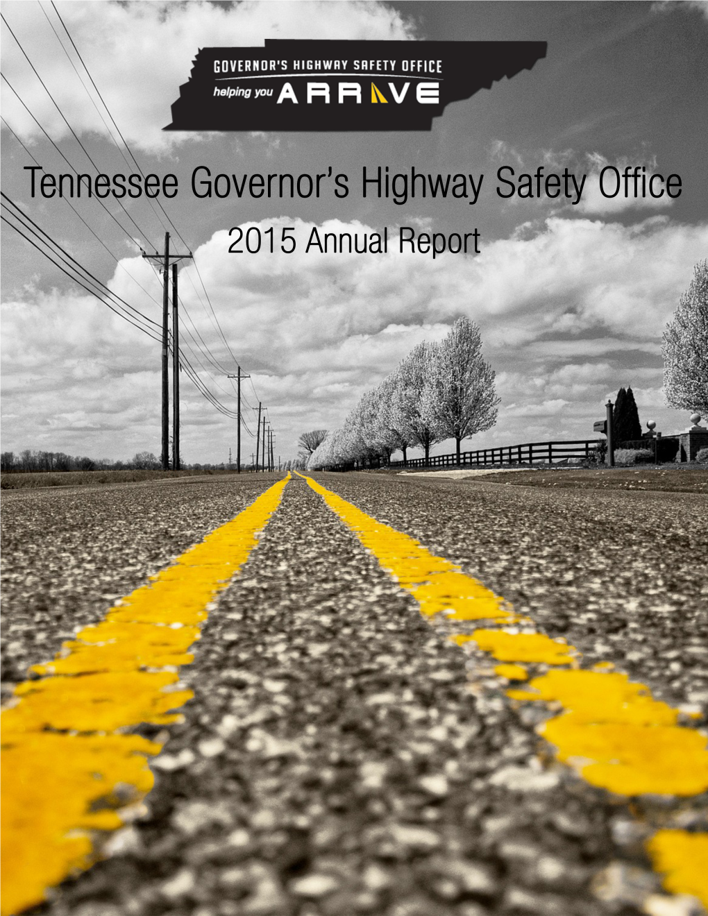 Pedestrians Killed in Tennessee Traffic Crashes 100 90 89 87 86 80 80 80 70 71 70 69 67 60 60 50