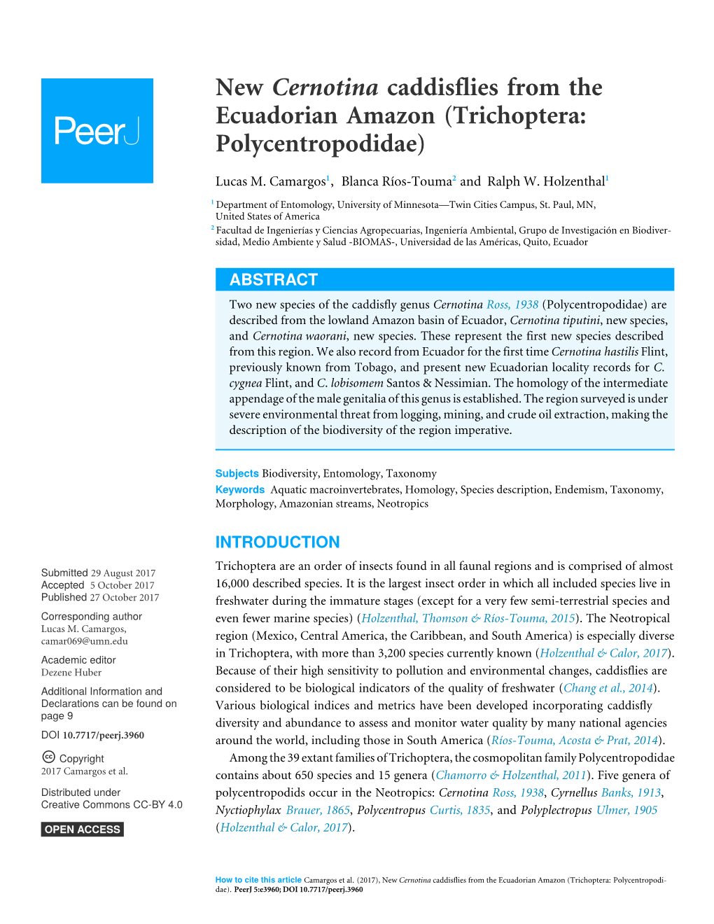 New Cernotina Caddisflies from the Ecuadorian Amazon (Trichoptera: Polycentropodidae)