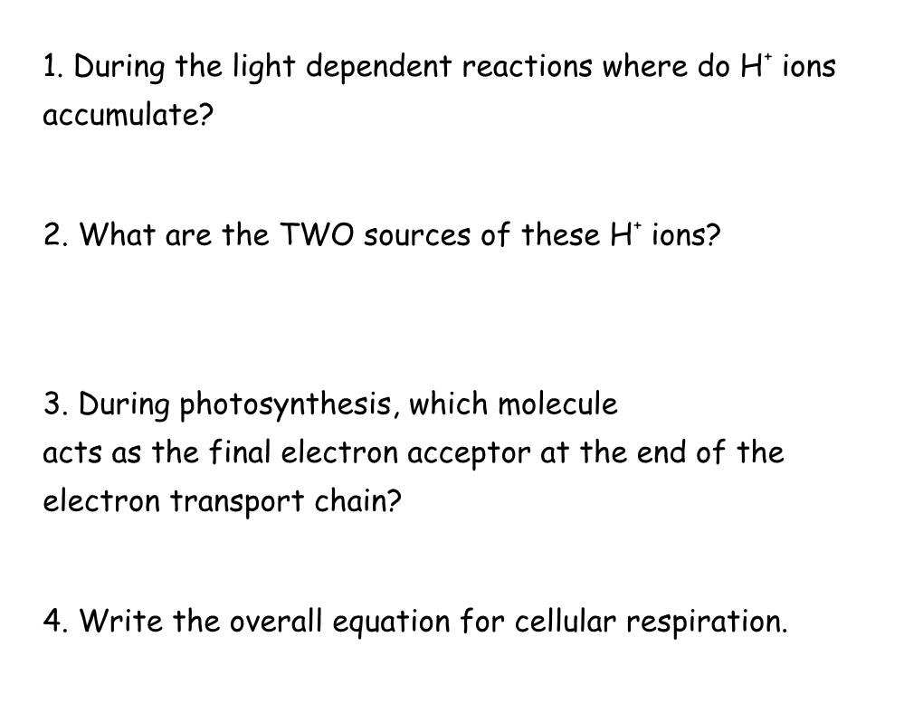 1. During the Light Dependent Reactions Where Do H+ Ions Accumulate?