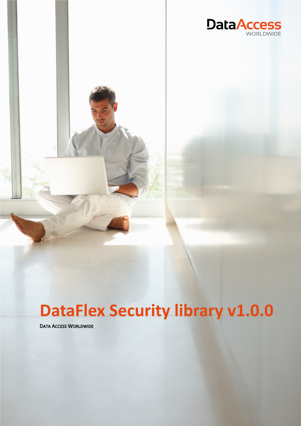 Dataflex Security Library Manual