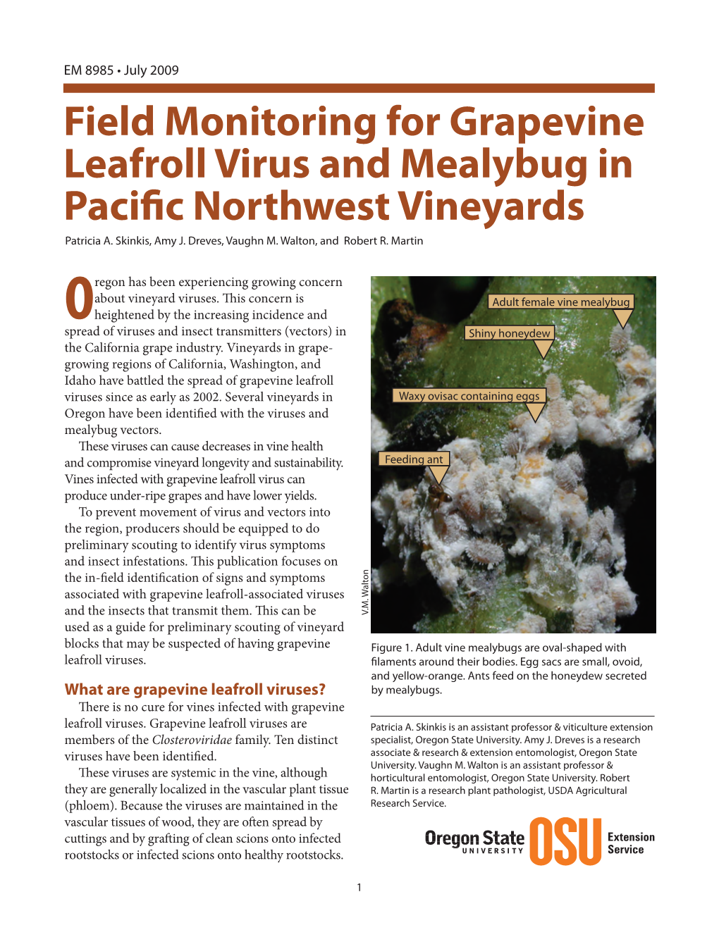 Field Monitoring for Grapevine Leafroll Virus and Mealybug in Pacific Northwest Vineyards Patricia A